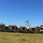Dammusi Jerimar